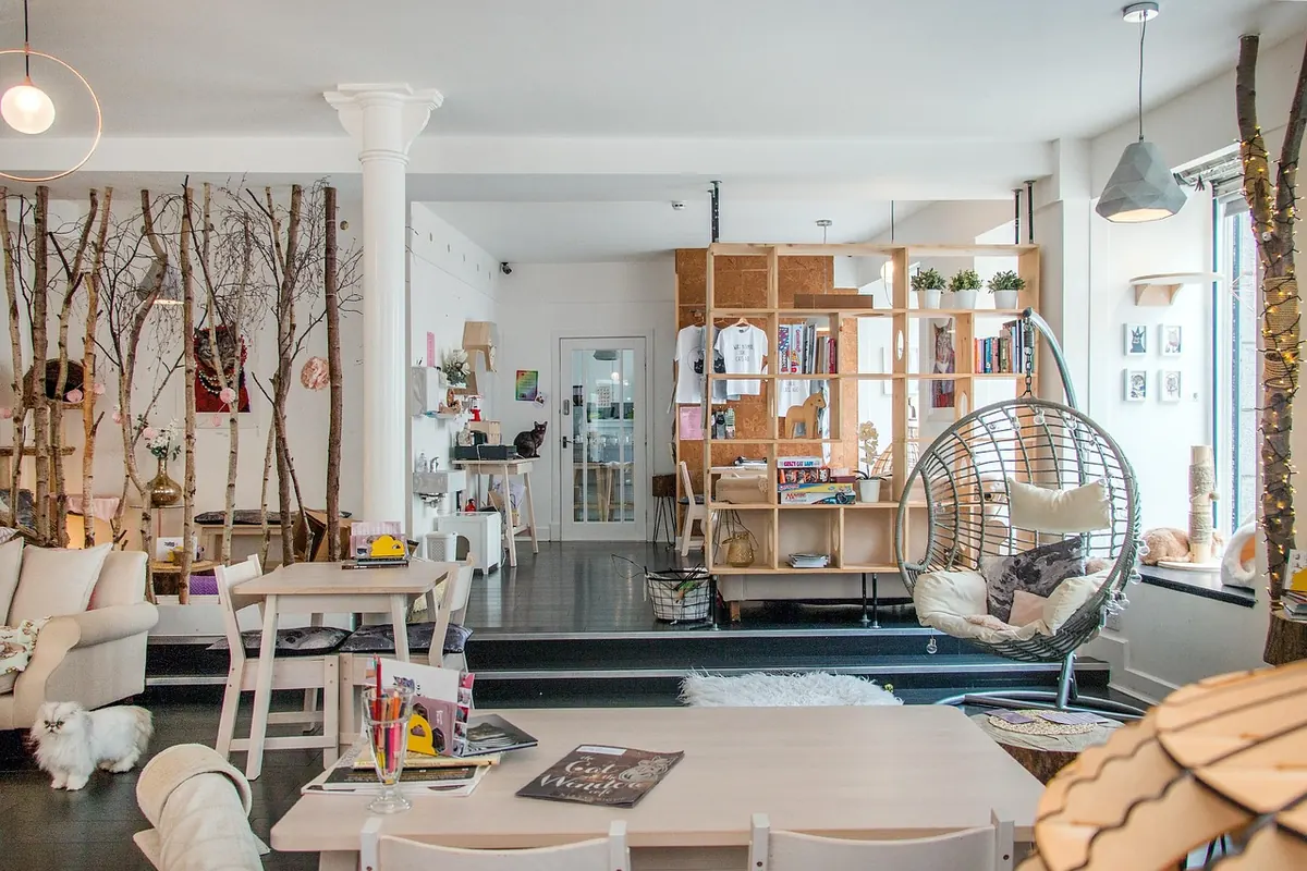 Common Mistakes When Visiting a Cat Cafe with Children
