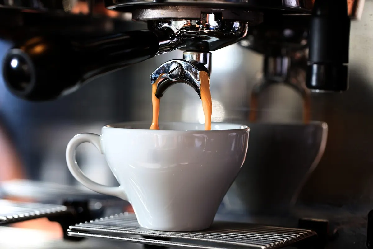 Decaf vs. Regular Coffee at Pet Cafes: What Dog Owners Should Order
