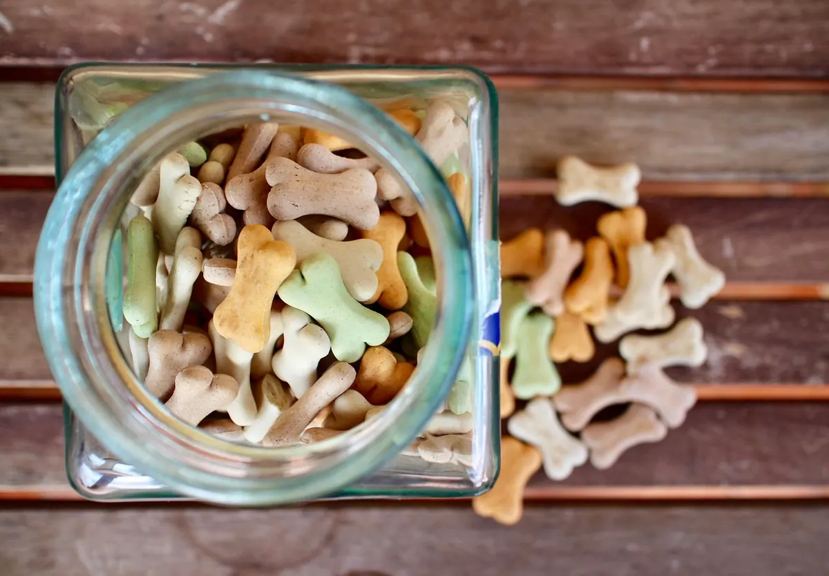 Treat Tasting Checklist: 10 Questions to Ask Before Giving a Cafe Treat to Your Dog